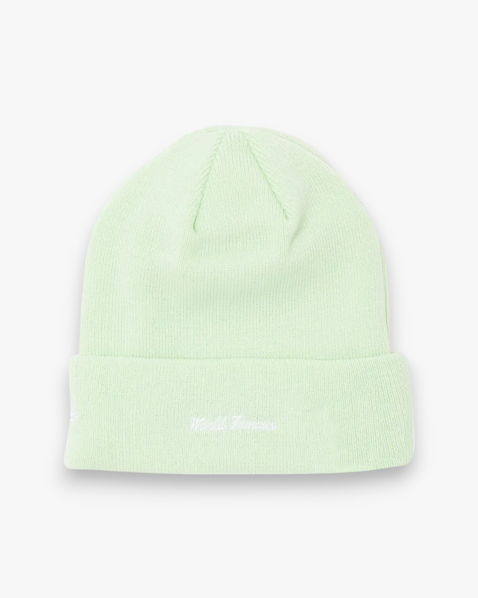 Supreme New Era Box Logo Beanie (FW23) Light Green - GOT'EM